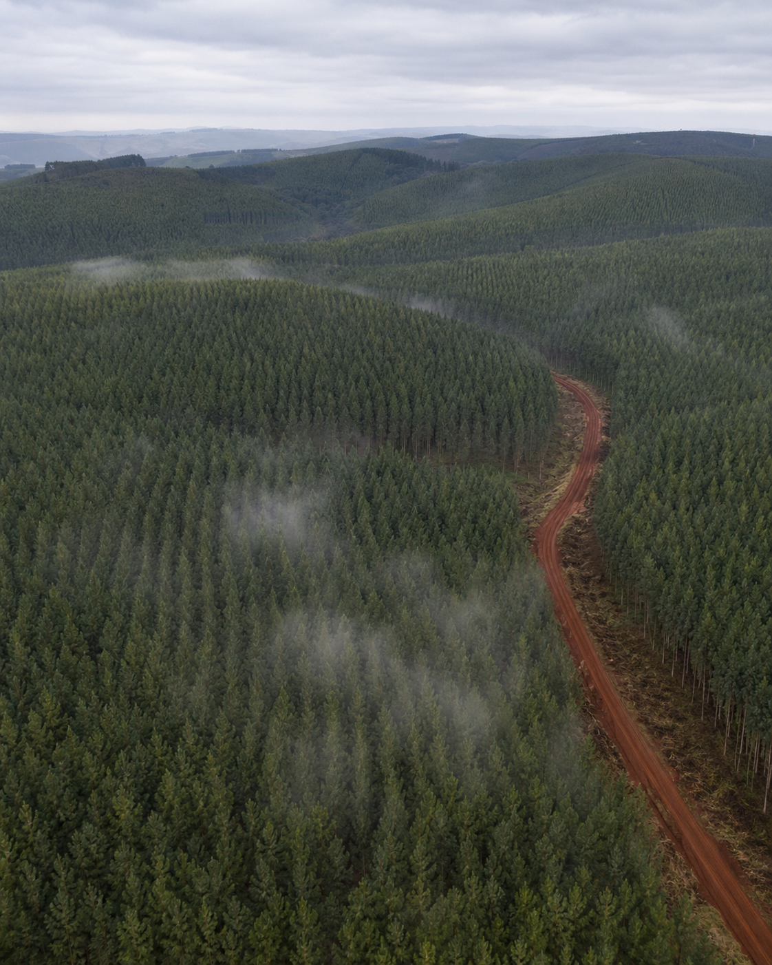 Drone sobre fazenda reflorestada