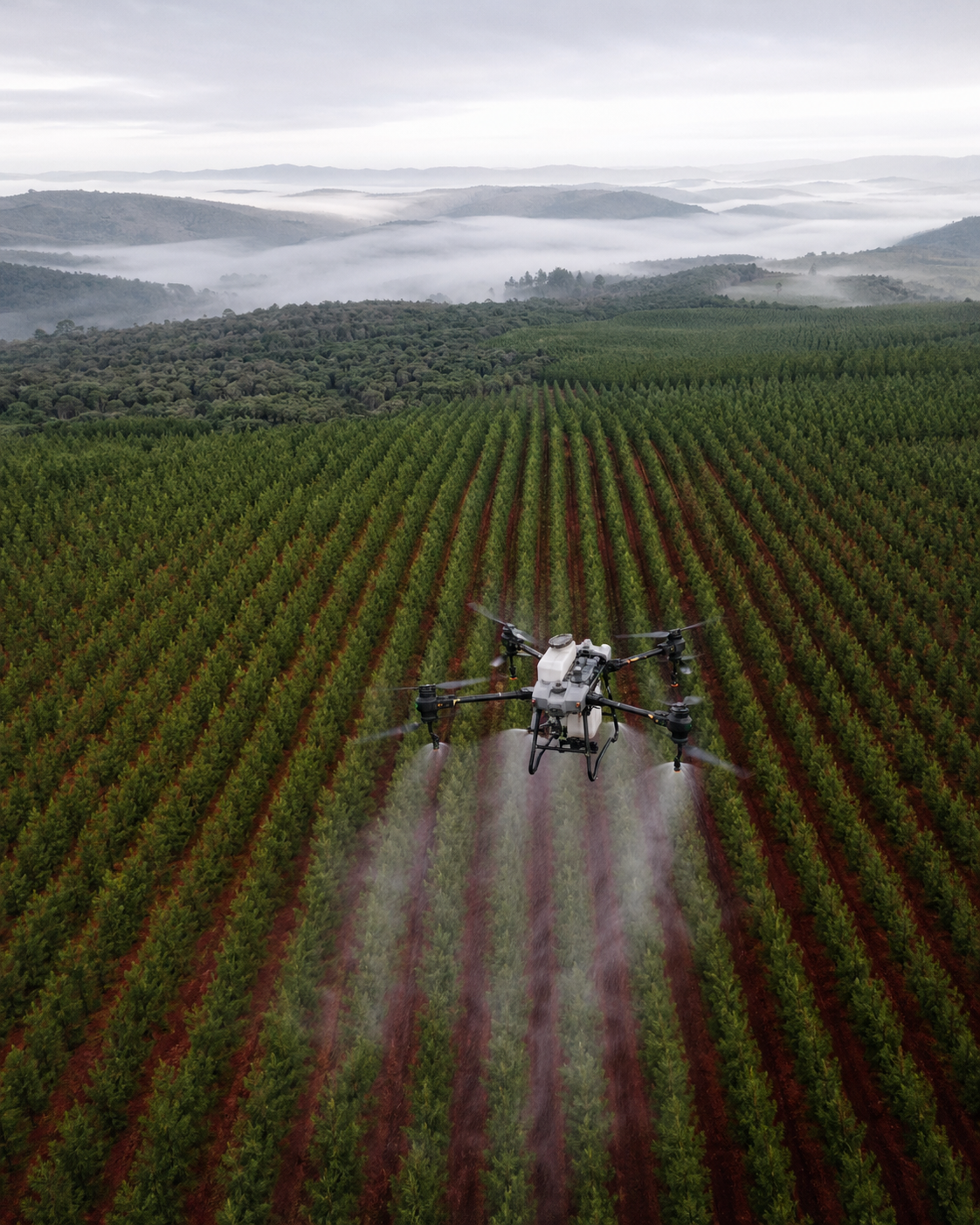 Drone pulverizando talhão de eucalipto